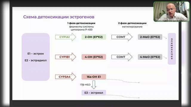 Основы стероидогенеза с врачом урологом-андрологом Нестеровичем Станиславом Юрьевичем.