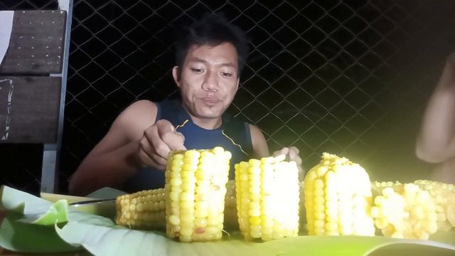 Mukbang with corn harvesting Yesterday.
