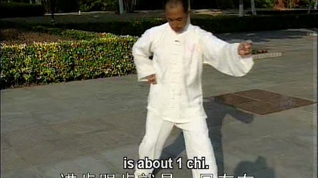 Теория и техника. Синъи цюань линии мастера Ша Гочжена