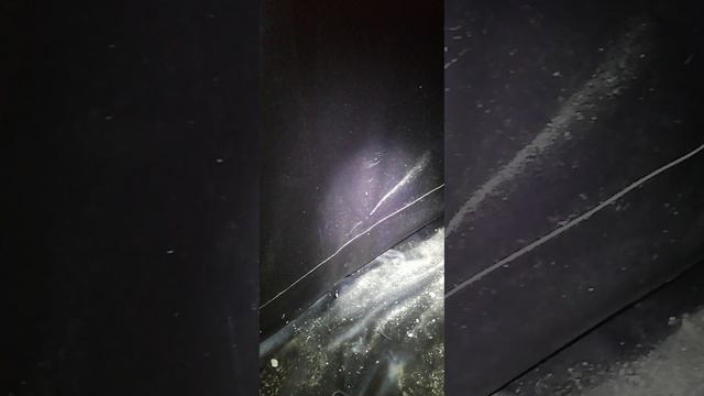 VID_20230922_110624.mp4