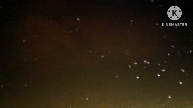 Купили малька форели по 1200 рублей за килограмм