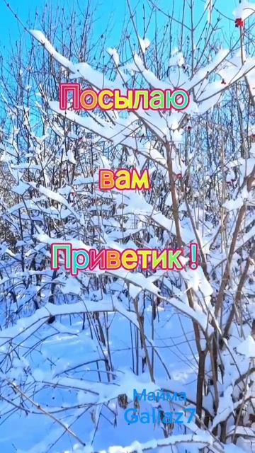Всем Доброе Утро!