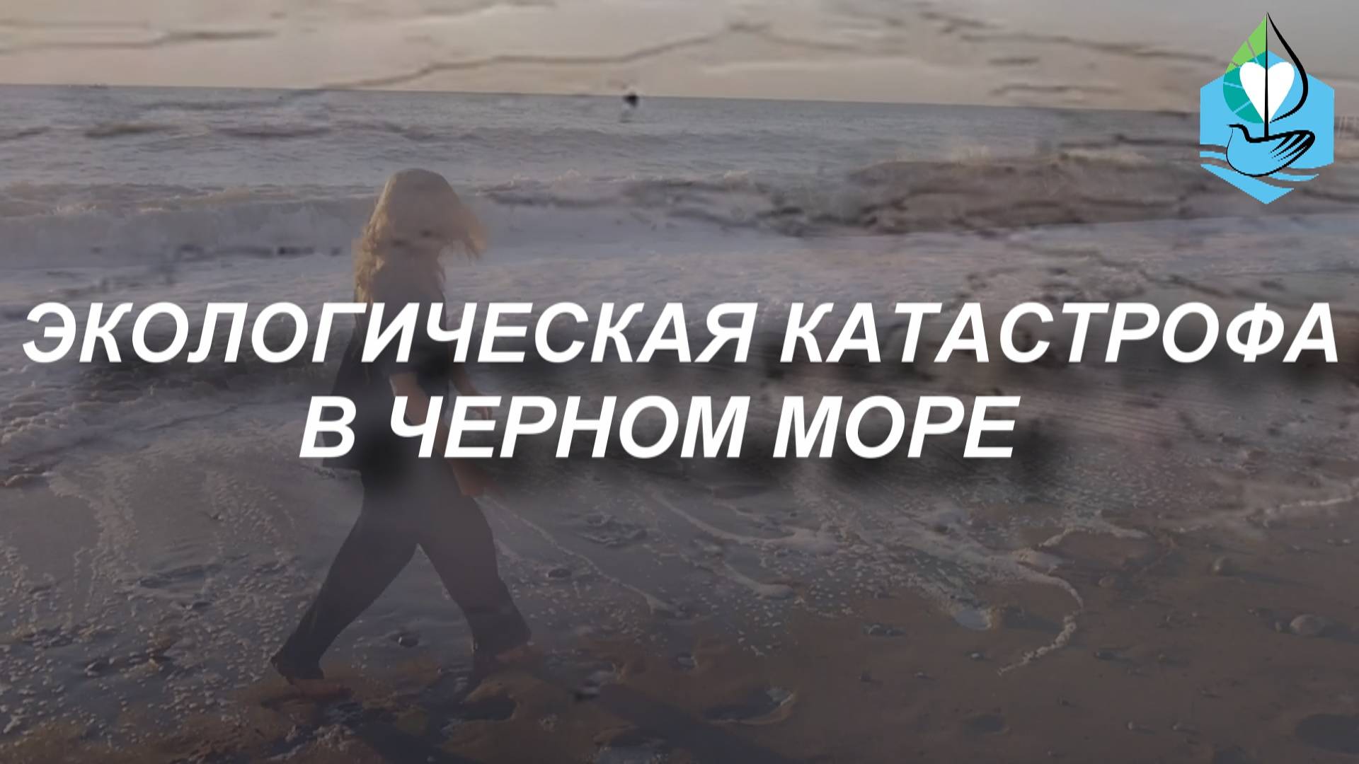 ЭКОЛОГИЧЕСКАЯ КАТАСТРОФА В ЧЕРНОМ МОРЕ!