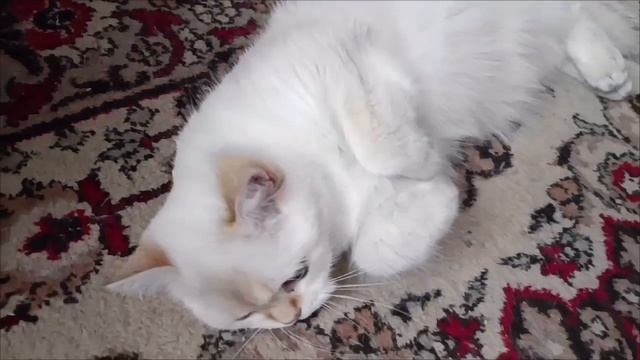 Сама нежность , Снежуля