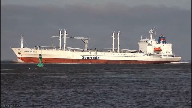 PRINCE OF SEAS | Elbe höhe Otterndorf