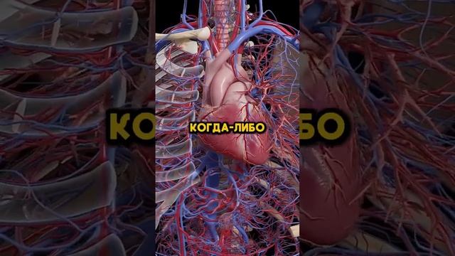 не ешьте эти 4 продукта перед сном это опасно ⚠️
