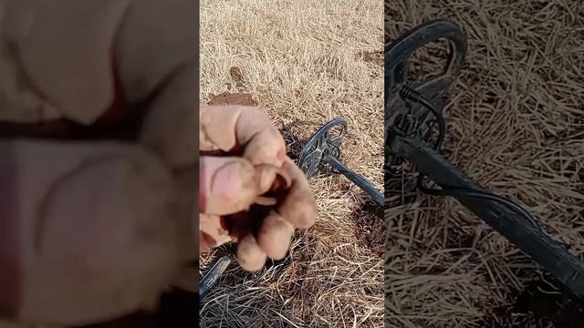 VID_20250318_202527_132.mp4