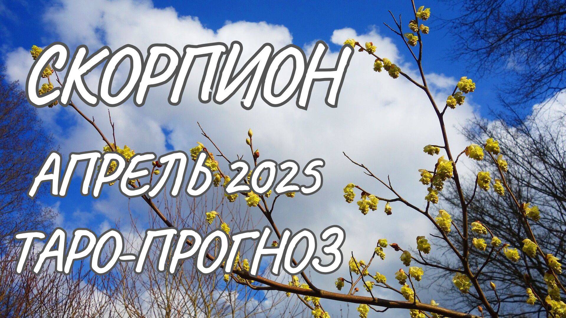 Скорпион ♏ Таро-прогноз на апрель 2025 года