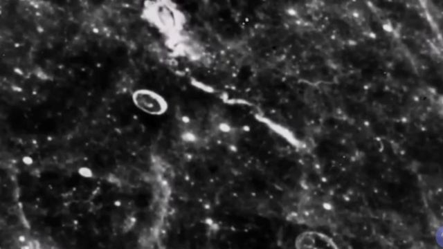 Luna002.mp4