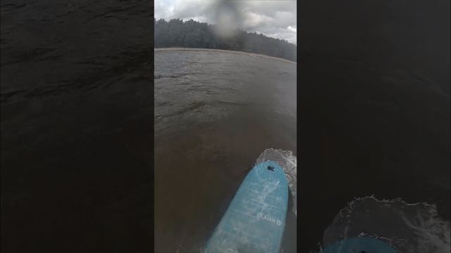 surfing 061024