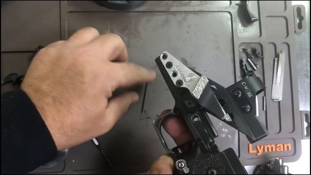 SV Infinity IMM Grip & Frame Field Strip