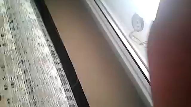 Деньги где ???!!!!!!!!!! С 8 марта