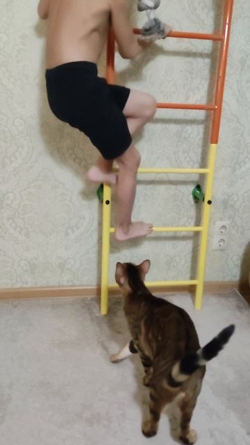 Лекс, не ешь меня