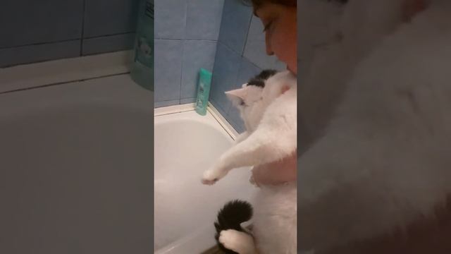 Живая рыба 4😐🐟