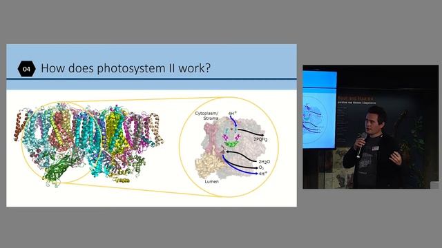 Protonation Dynamics in Protein Function | SFB 1078 IGK