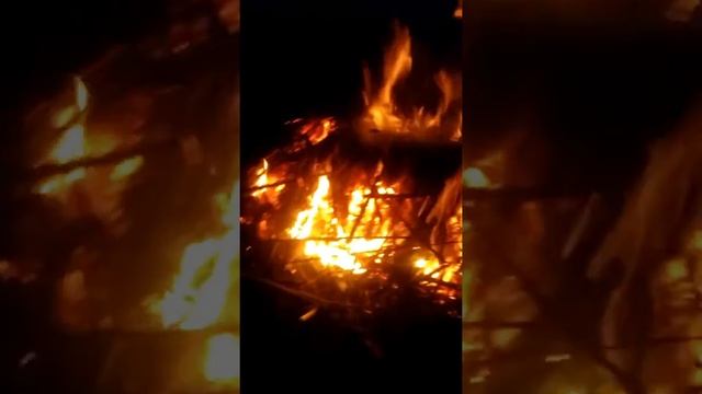 Поджигаем камыш на озере