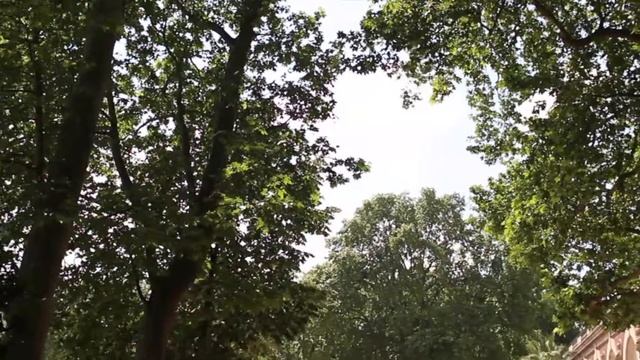 Paris Vlog Part 5