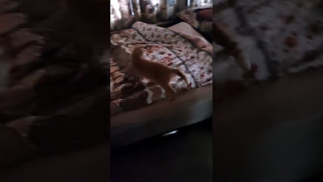 1000004437.mp4