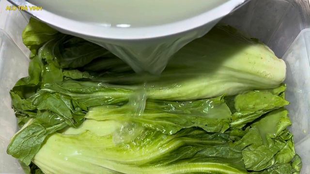 Cách Ngày Xưa! Làm Dưa Cải Muối Chua lên men tự nhiên từ nước vo gạo- Pickled mustard greens