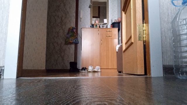 1000016519.mp4