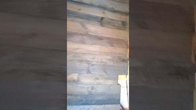 1000004298.mp4
