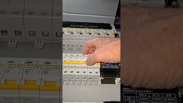 1000019233.mp4 (Собака смотрит на электроснабжение дома А-фрейм)