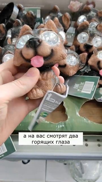 Увидел странные фонари со светящимися глазами #shorts