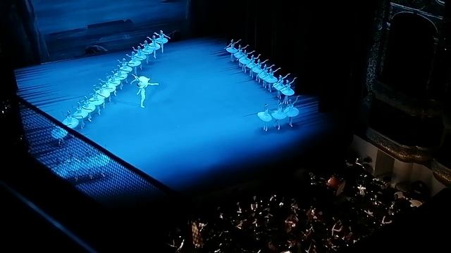 Лебединое озеро 28 мая 2024