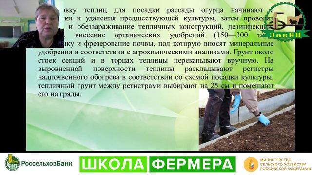 Производство овощей защищенного грунта (Чита)