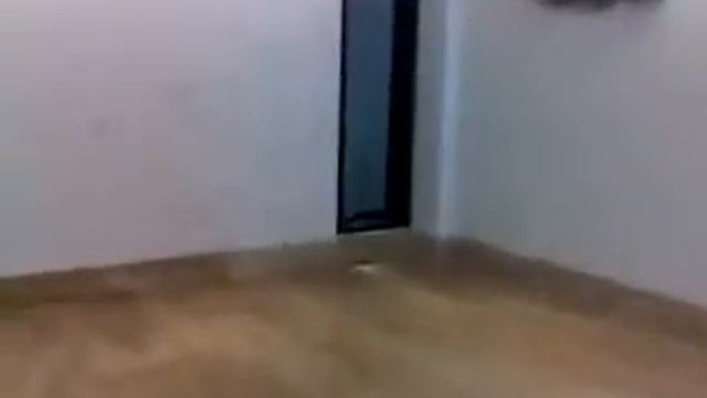 Green Park. @ 3BHK Unfurnished Flat Video,First Floor, @ Rent 1.10Lac ID - 11356