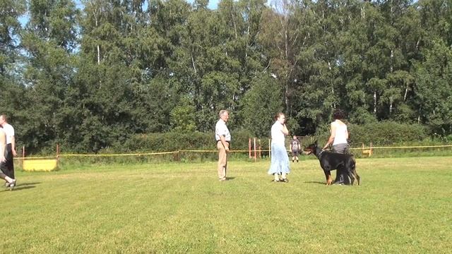 Smart Wood Hills Terrano ZTP V1A 10.08.2013 N.Daube