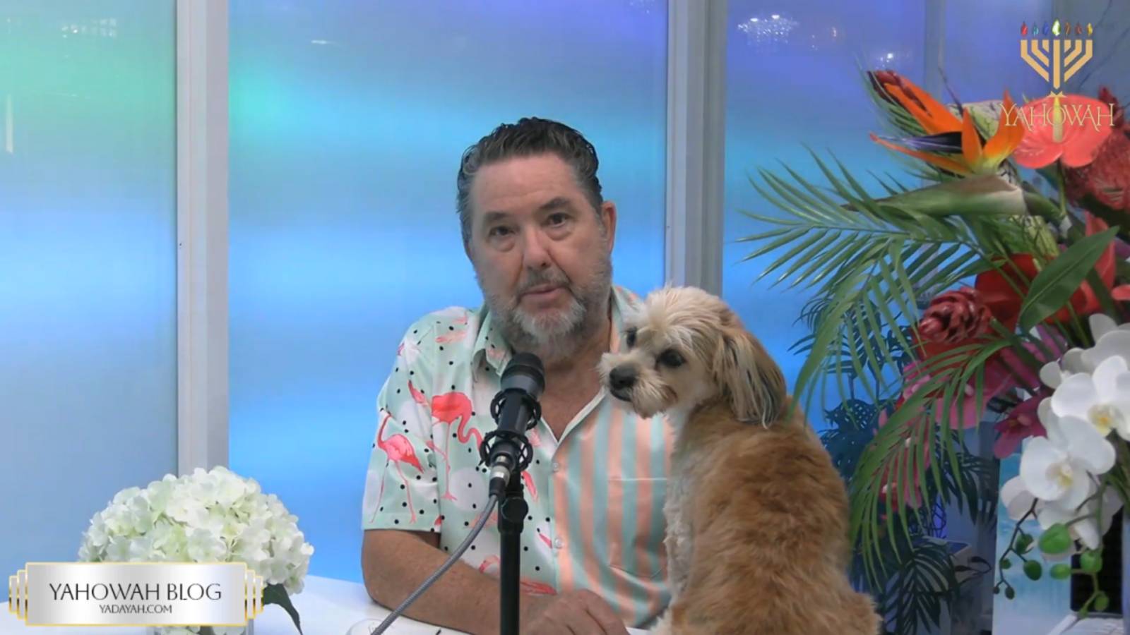 Mohammad's Criminal Enterprise Part Ten 17 March 2025