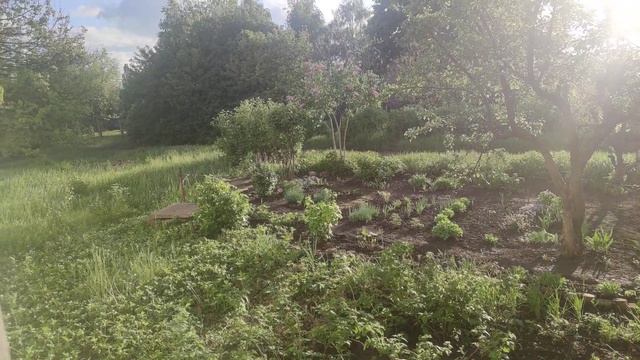 Серебряные украшения на природе
