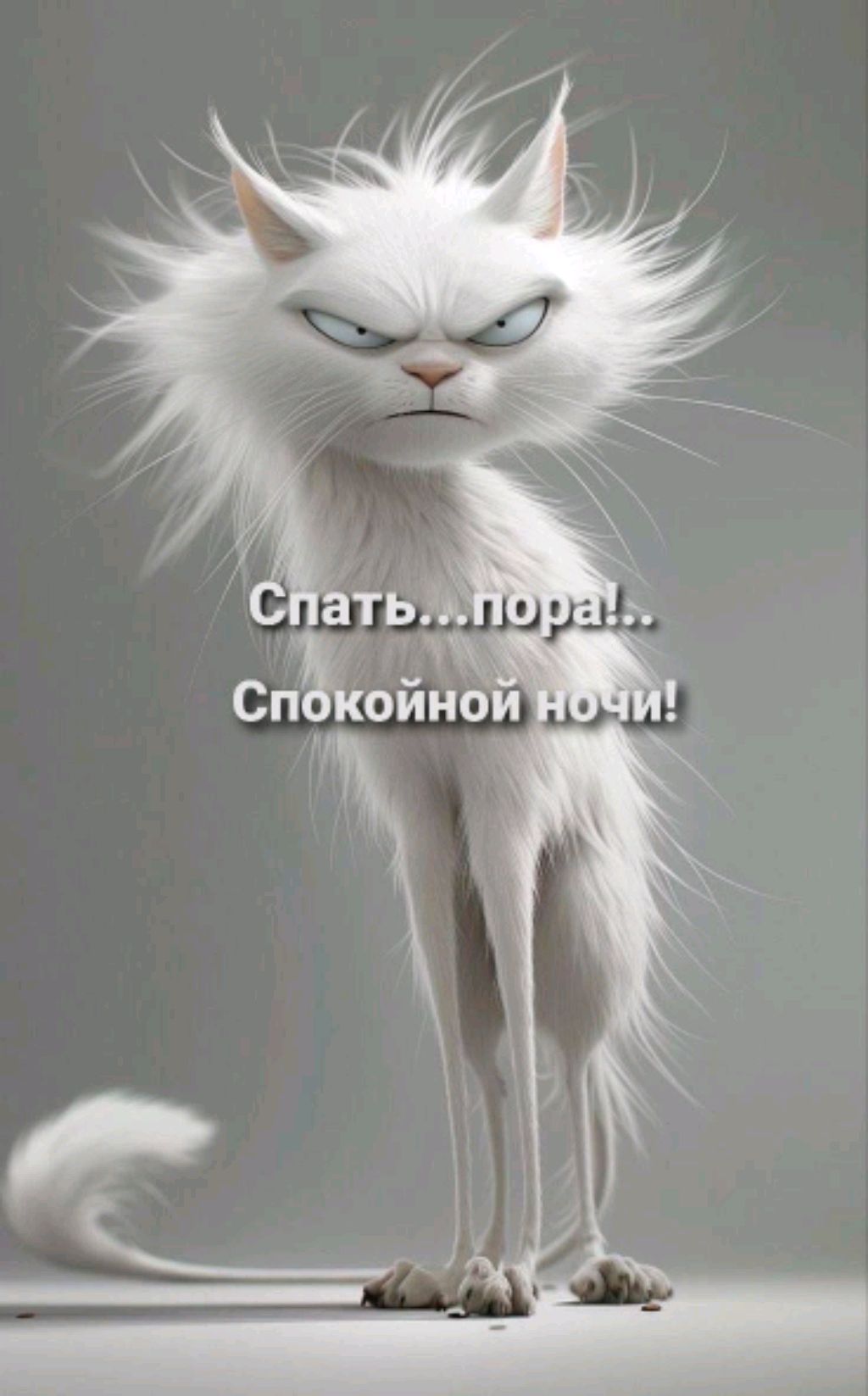 /14ПОДПИЩЕКАФ