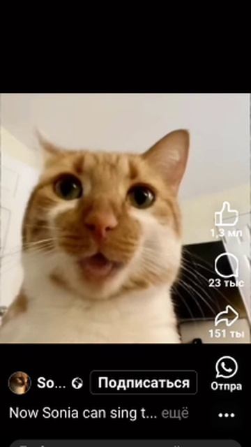 1000019215.mp4