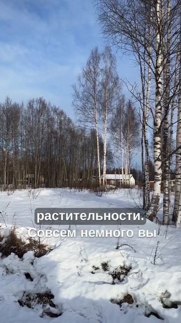 Новый участок
