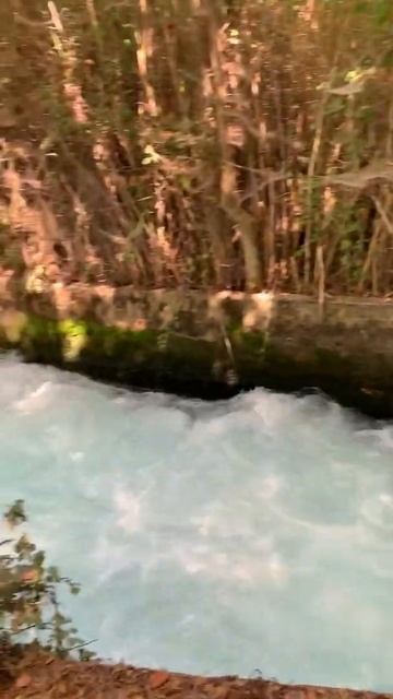 Jordan River headwaters