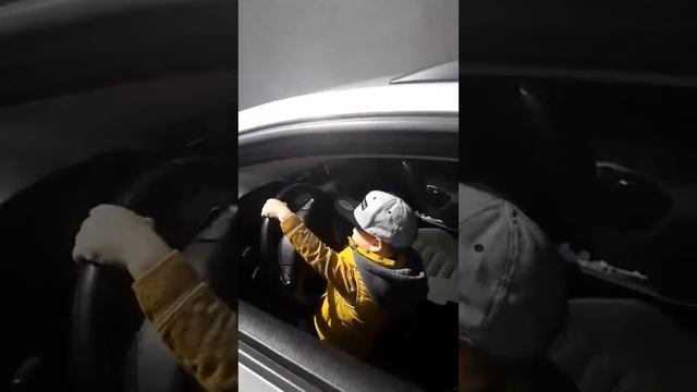 Trogodisnjak pali sva auta PASSAT B6
