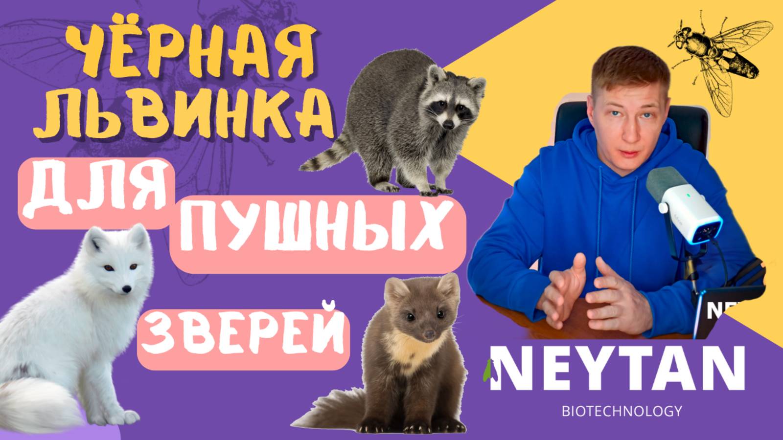 Черная львинка как корм для пушных зверей? Неожиданное решение для звероферм! #чёрнаяльвинка #мех