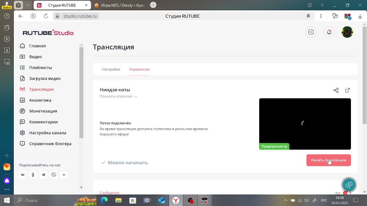 Ниндзя-коты