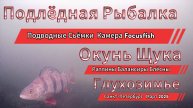 ПОДЛЁДНАЯ РЫБАЛКА ОКУНЬ ЩУКА ПАСИВНАЯ РЫБЫ ПОЧТИ НЕТ ХОДИТ НО НЕ БЕРЁТ НА ПРИМАНКИ БАЛАНСИРЫ БЛЁСНЫ