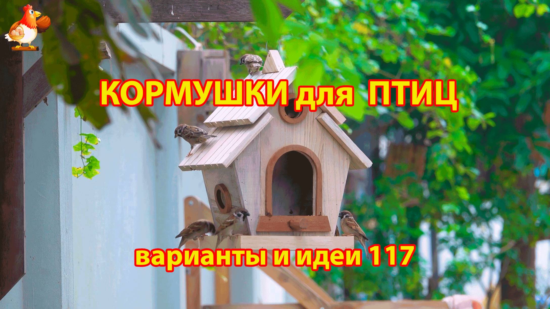 Кормушка для птиц своими руками как сделать пошагово  (117) 🪚🪛🔨 Идеи для дачи и сада❣️