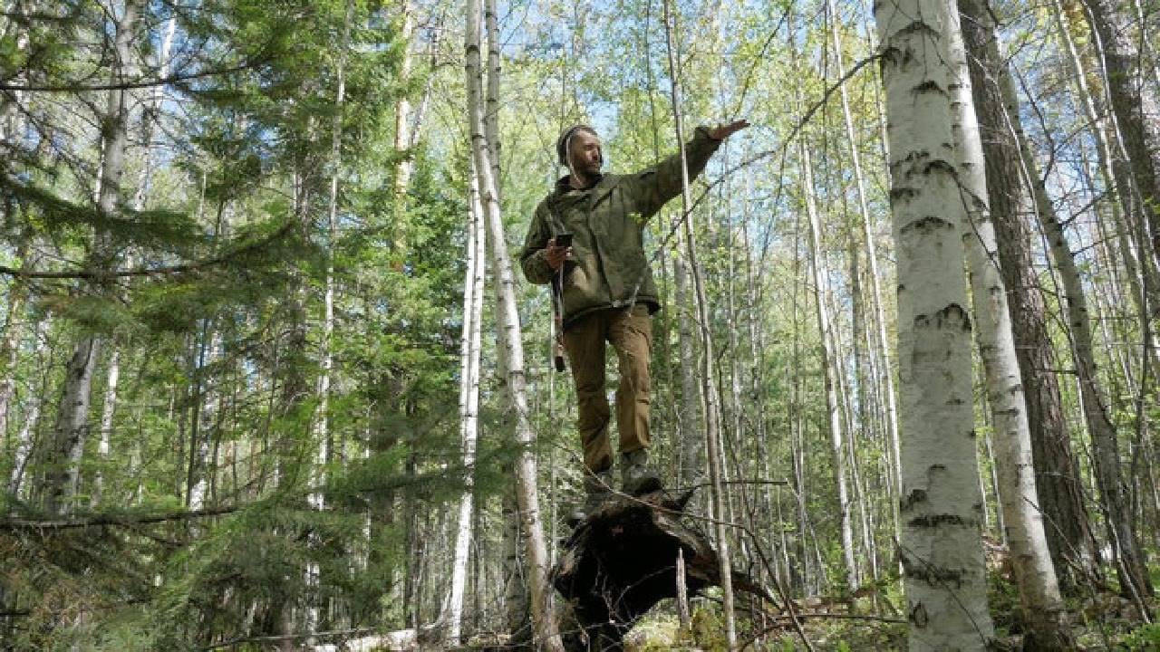 Затерянный в тайге учёные обнаружили Кетский о