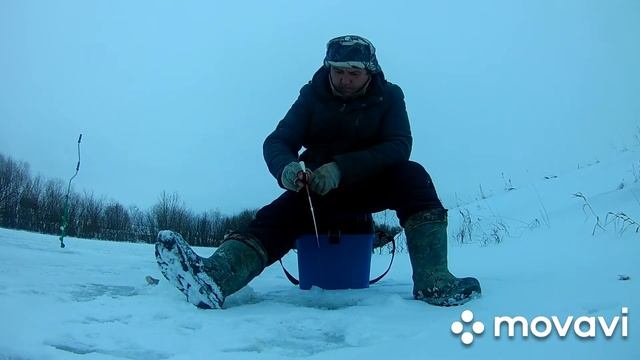 Ловля плотвы зимой на безмотылку. Прогноз клёва неутешительный.