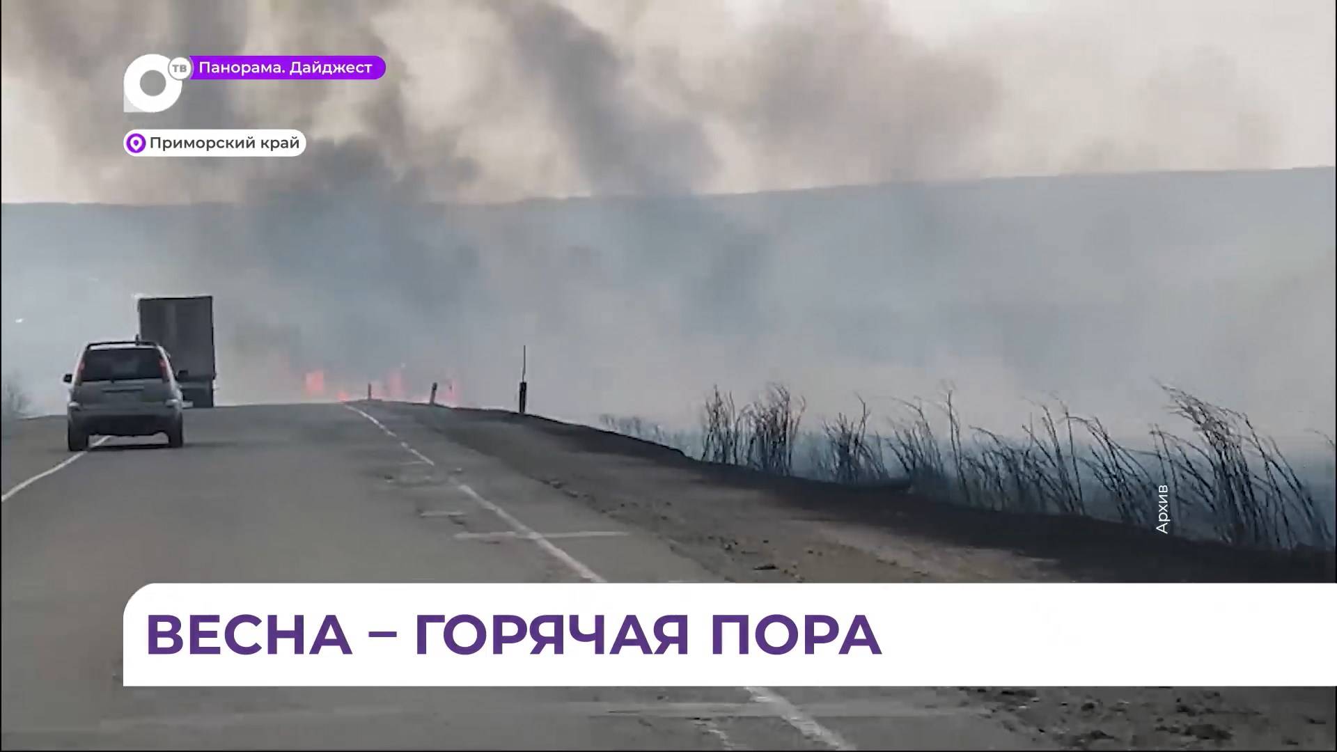 Десять природных пожаров зарегистрированы в Приморье за прошедшие сутки