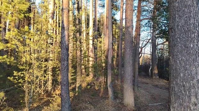 Путешествие киржач пять мостов