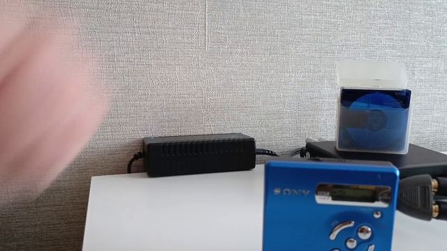 Sony Walkman MZ-R501