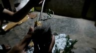 VEGETASI TERBAIK BUDIDAYA TRIGONA/KLANCENG DI RUMAH