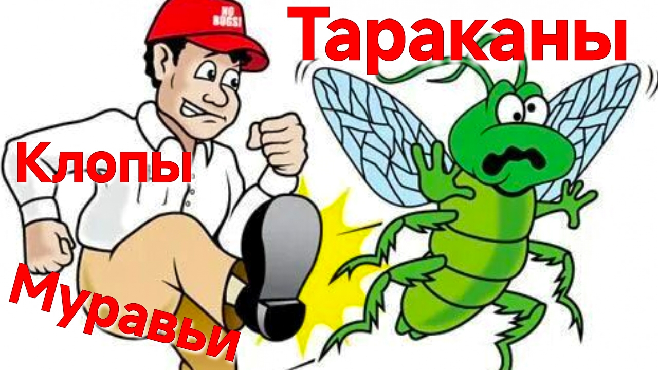 ГЕЛЬ ОТ ТАРАКАНОВ. ПРОБЛЕМ БОЛЬШЕ НЕ БУДЕТ...          лайфхак.