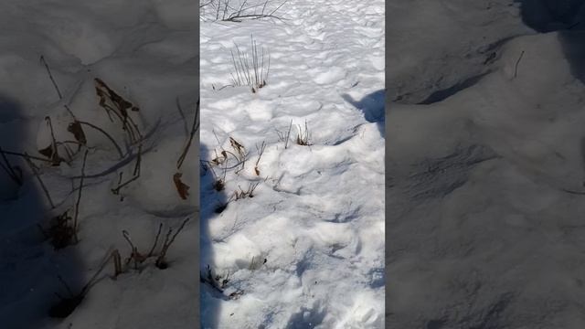 1000041280.mp4